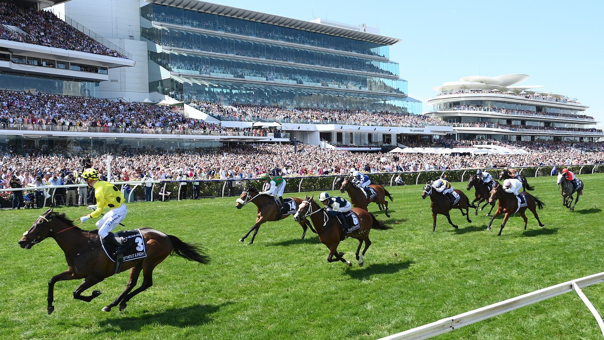 Melbourne Cup Carnival 2024 Packages & Tickets