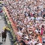 Melbourne Cup Carnival 2024 - view of horses celebrating post race
