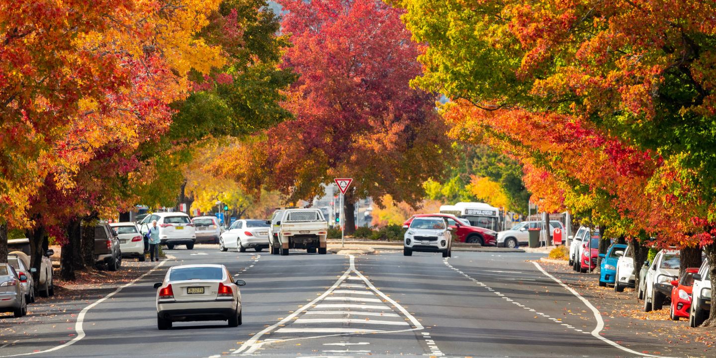 bathurst 1000 travel packages