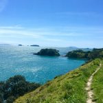 Waiheke Island, New Zealand