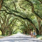 Tree-lined streets in Aiken, Georgia