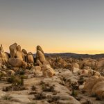 NRL Las Vegas 2026 11-Night High Stakes Luxury Tour-12