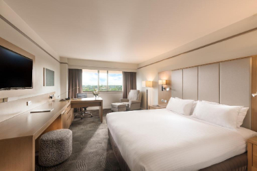 Stamford Plaza Adelaide - Superior Park