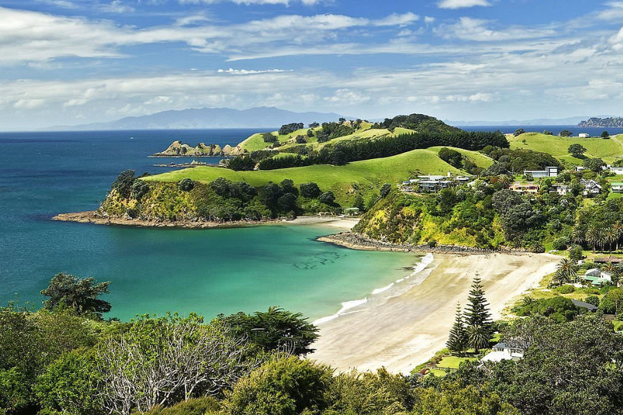Waiheke Island Winery Tour