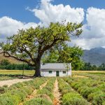 Franschhoek, South Africa
