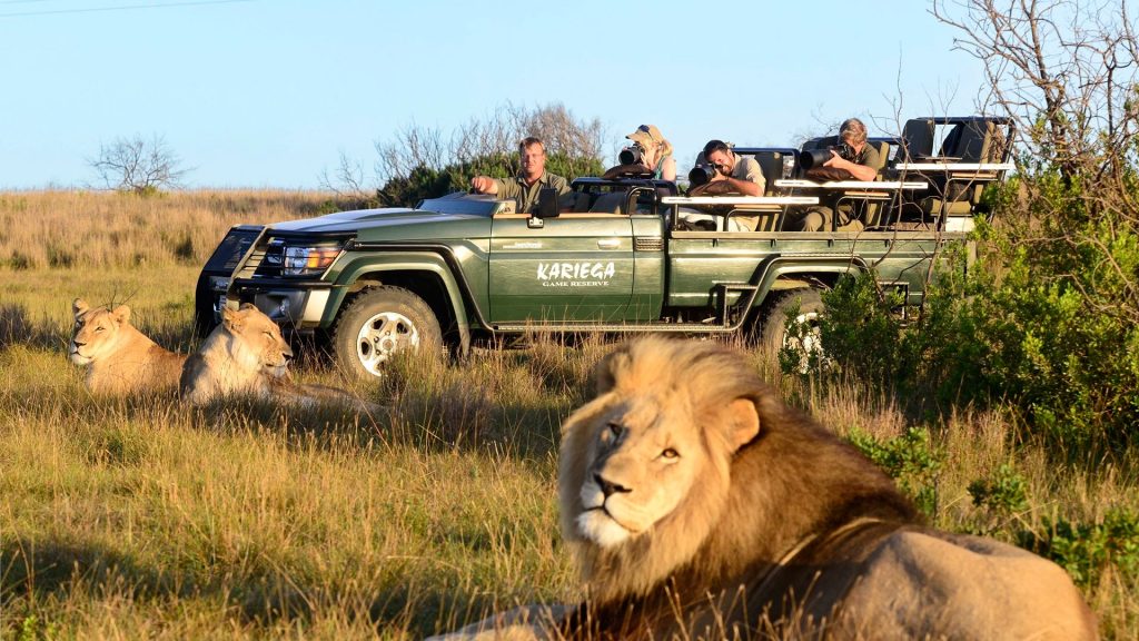 MCC Members' Tour: South Africa Luxury Cricket & Safari Experience 2026