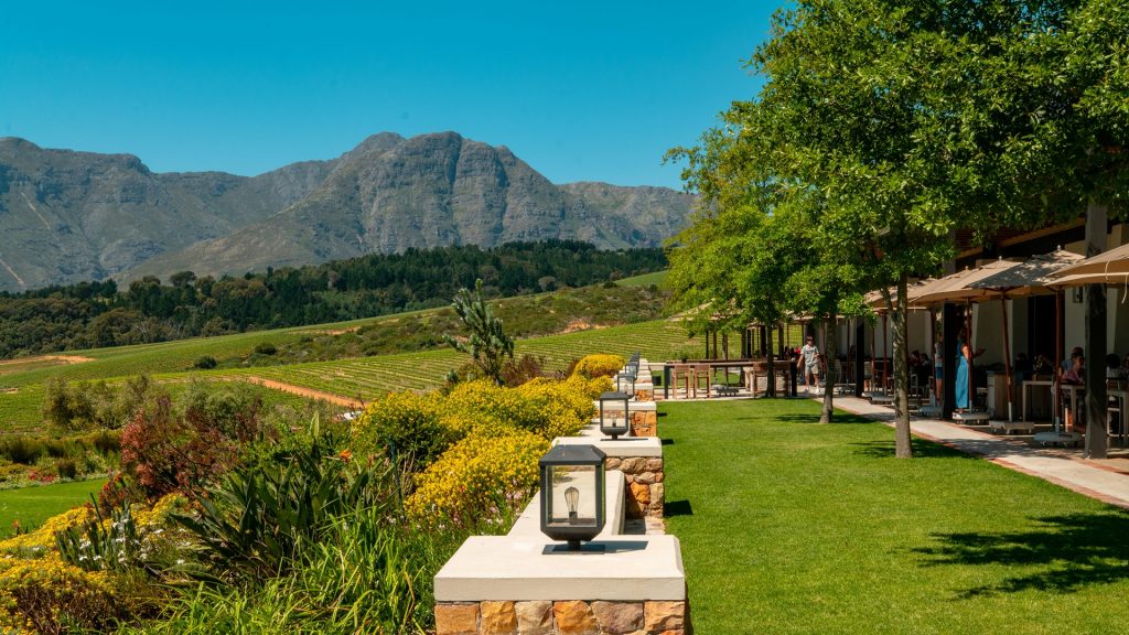 South Africa 2026 - 4