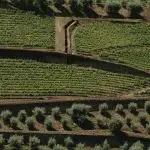 Quinta among Douro Valley vineyards — Events Travel