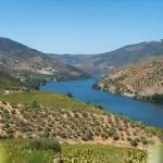 Douro Valley vineyards and river — Events Travel